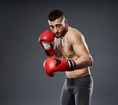 MMA dövüş eğitimi, gri arka planda izole edilmiş stüdyo çekimi.