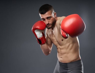 MMA dövüş eğitimi, gri arka planda izole edilmiş stüdyo çekimi.