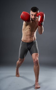 MMA dövüş eğitimi, gri arka planda izole edilmiş stüdyo çekimi.