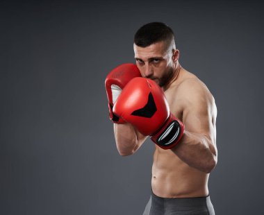 MMA dövüş eğitimi, gri arka planda izole edilmiş stüdyo çekimi.