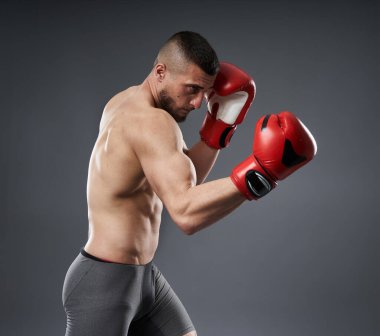 MMA dövüş eğitimi, gri arka planda izole edilmiş stüdyo çekimi.