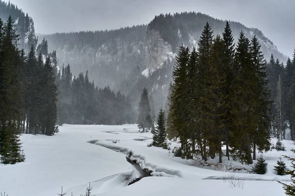 Τοπίο Ένα Βουνό Ποτάμι Στη Χιονοθύελλα Χιόνι Royalty Free Εικόνες Αρχείου
