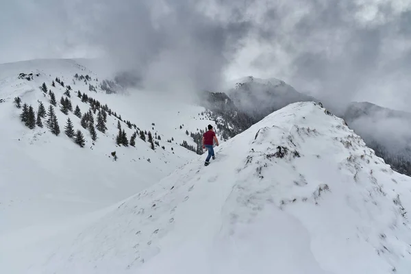 穿T恤衫的人只有在冬天爬过暴风雪才能爬山 图库照片