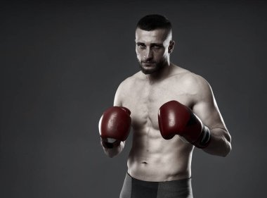 MMA dövüş eğitimi, gri arka planda izole edilmiş stüdyo çekimi.