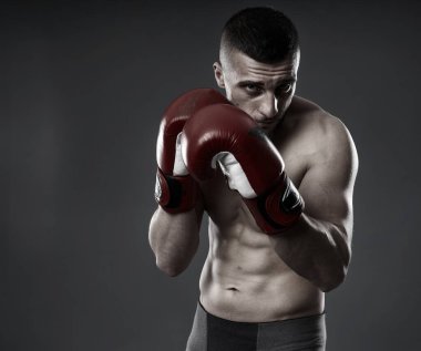 MMA dövüş eğitimi, gri arka planda izole edilmiş stüdyo çekimi.