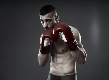 MMA dövüş eğitimi, gri arka planda izole edilmiş stüdyo çekimi.