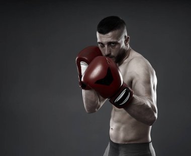 MMA dövüş eğitimi, gri arka planda izole edilmiş stüdyo çekimi.