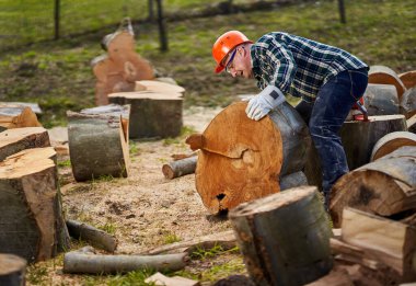 Elektrikli testereli oduncu büyük kayın kütükleri kesiyor.