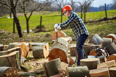 Oduncu büyük bir kayın kütüğünü açmak için levye kullanıyor.
