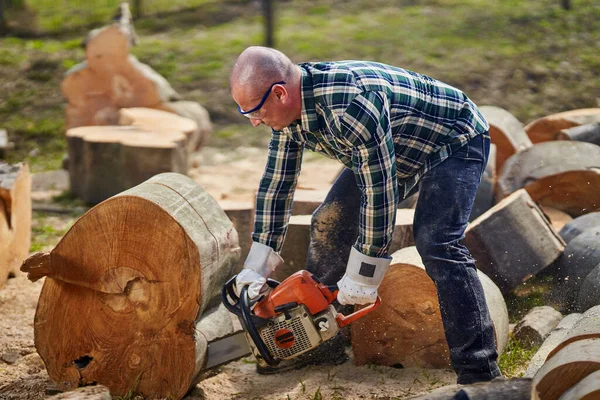 Lumberjack Com Motosserra Corte Grandes Troncos Faia Fotos De Bancos De Imagens Sem Royalties