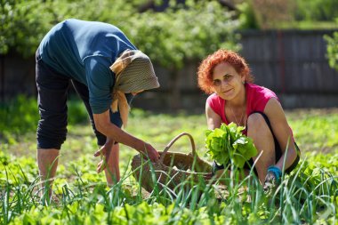 Bahçede yaşlı annesiyle kırsalda çalışan bir kadın.