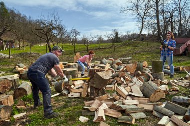 Çiftçi ailesi arka bahçede yakacak odun bulmak için kayın kütüklerini ayırıyor.