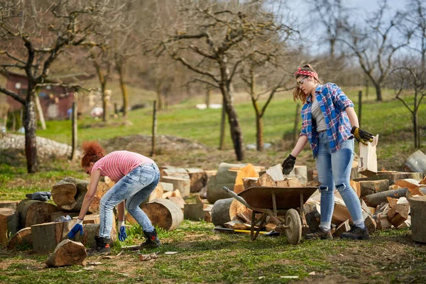 Taşralı kadınlar odunları el arabasına yükleyip barakaya taşıyorlar.
