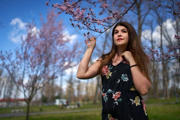 Ung Latinamerikansk Kvinna Parken Med Körsbärsträd Blom — Stockfoto