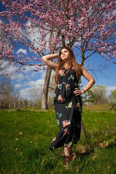 Jonge Spaanse Vrouw Het Park Met Kersenbomen Bloei — Stockfoto