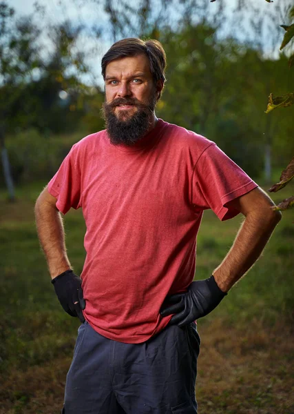 Jeune Fermier Barbu Posant Dans Verger Prunes Coucher Soleil — Photo