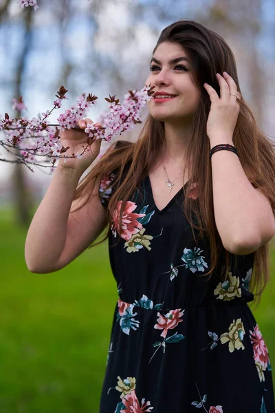 Young Hispanic Woman Park Cherry Trees Bloom — Stock Photo, Image