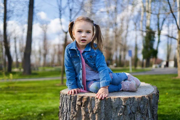 Schattig Klein Meisje Zittend Een Grote Stomp Het Park — Stockfoto