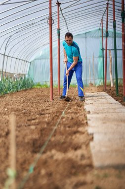 Çiftçi toprağı serasına domates ekmeye hazırlıyor.