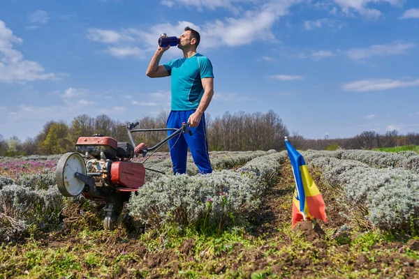 Erbaccia Contadina Con Una Fresa Motorizzata Campo Lavanda — Foto Stock