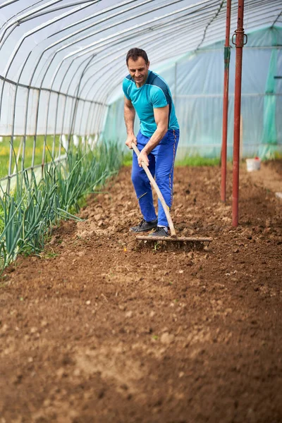 Agricultor Preparando Solo Para Plantar Tomates Sua Estufa — Fotografia de Stock