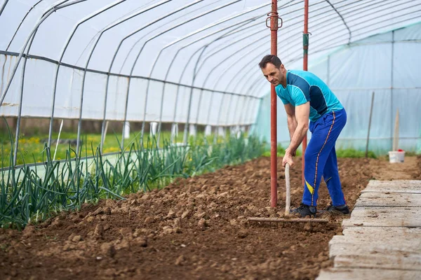 Agricultor Preparando Solo Para Plantar Tomates Sua Estufa — Fotografia de Stock