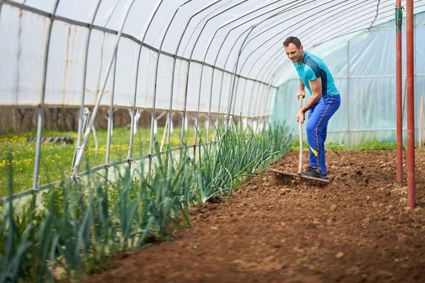 Agriculteur Prépare Sol Pour Planter Des Tomates Dans Serre — Photo