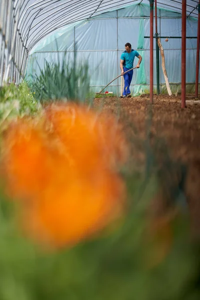 彼の家にトマトを植えるための土壌を準備する農家 — ストック写真