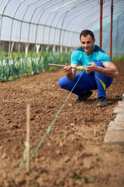 Boer Bereidt Grond Voor Het Planten Van Tomaten Zijn Kas — Stockfoto