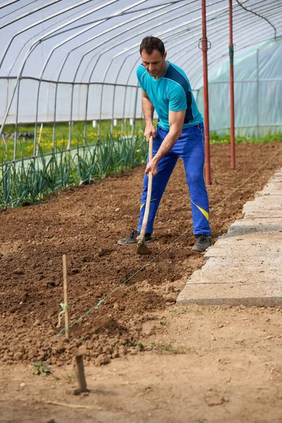 Rolnik Przygotowujący Glebę Sadzenia Pomidorów Swojej Szklarni — Zdjęcie stockowe