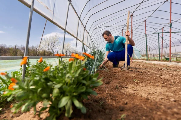 農家は家の中で玉ねぎを花壇で除草する — ストック写真
