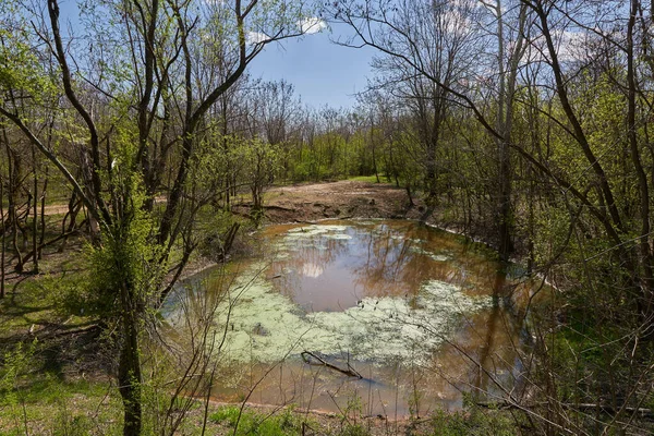 Pov Aufnahme Von Einem Beobachtungsjagdplatz Einem Teich Wald Tiere Zum — Stockfoto