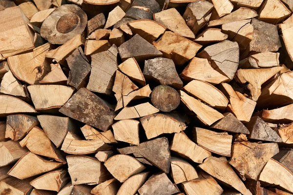 Stack Beech Firewood Countryside — Stock Photo, Image