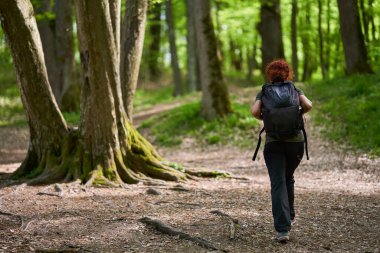 Sırt çantalı beyaz bir kadın ormana doğru yürüyor.
