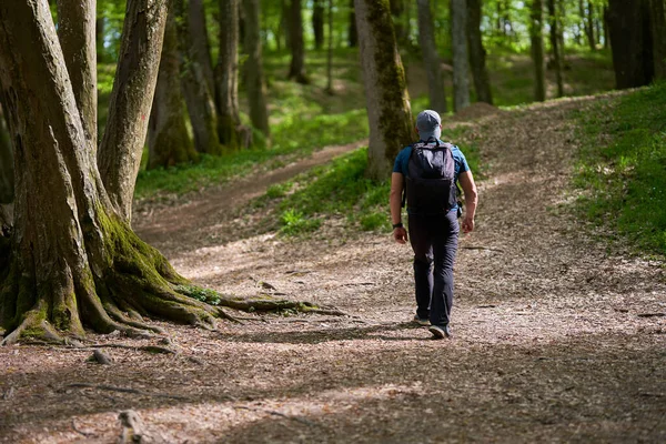 Homem Ativo Com Mochila Caminhando Floresta Velha — Fotografia de Stock