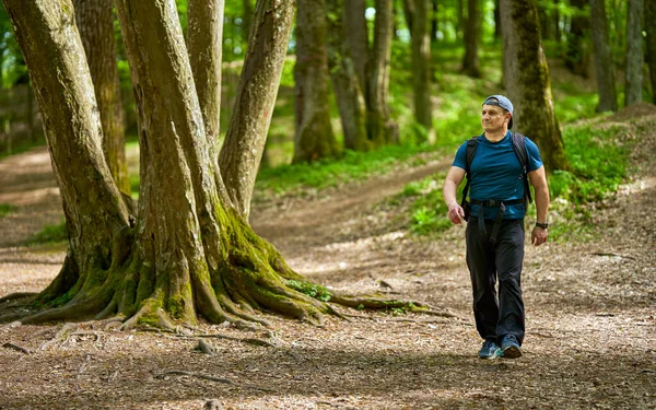 Homem Ativo Com Mochila Caminhando Floresta Velha — Fotografia de Stock