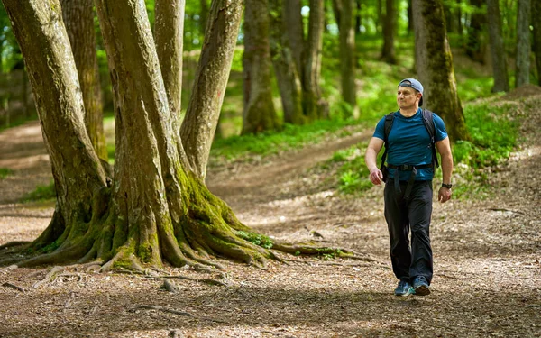 Active Man Backpack Hiking Old Forest — Stock Photo, Image