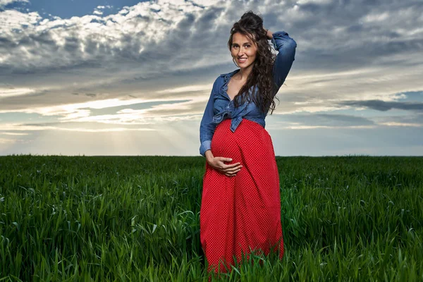 Kırsal Kesimdeki Buğday Tarlasında Mutlu Hamile Bir Kadın — Stok fotoğraf