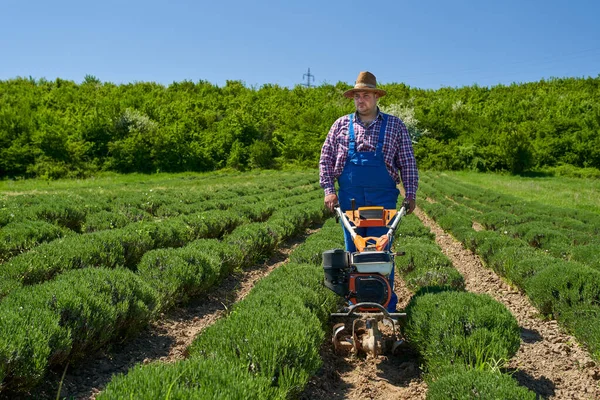 Boer Wieden Met Een Gemotoriseerde Helmstok Een Lavendelveld — Stockfoto