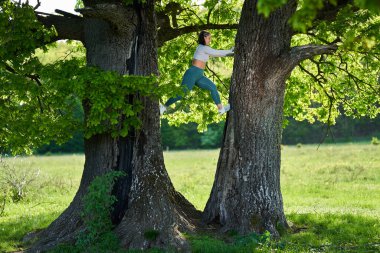 Boyut ve genç bir kadın meşe ağacına tırmanıyor.