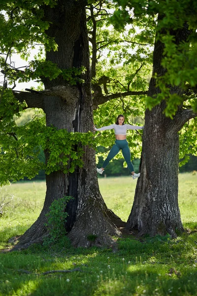 Grootte Jonge Vrouw Klimmend Een Eik Boom — Stockfoto