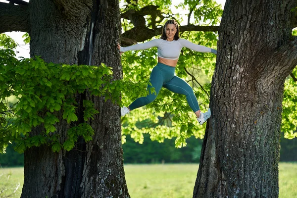 Boyut Genç Bir Kadın Meşe Ağacına Tırmanıyor — Stok fotoğraf