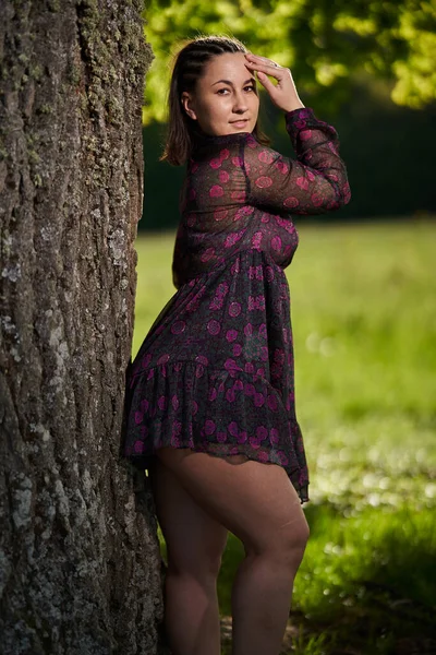 Além Tamanho Mulher Bonita Vestido Verão Por Enorme Carvalho Floresta — Fotografia de Stock