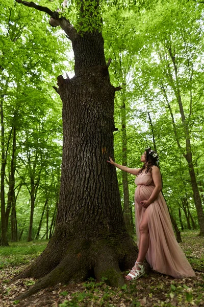 Retrato Uma Bela Jovem Hispânica Grávida Uma Floresta Caduca Verão — Fotografia de Stock