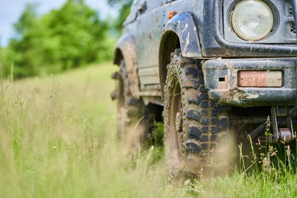 森の牧草地で汚いオフロード車 — ストック写真