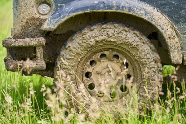 Ormanın Yakınındaki Bir Çayırda Kirli Bir Road Arabası — Stok fotoğraf