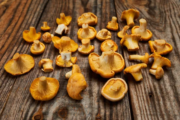 Bunch Delicious Fresh Golden Chantarelle Edible Mushrooms Rustic Wooden Board — Stockfoto