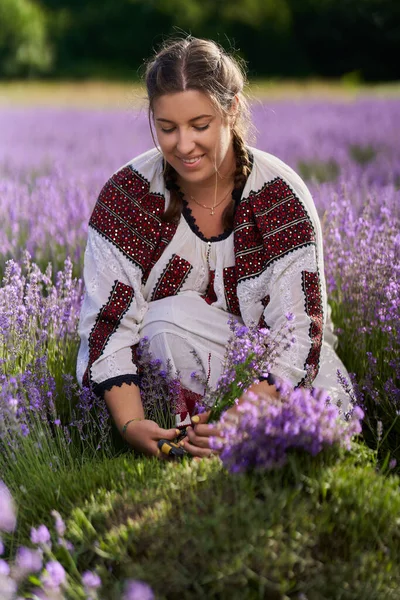 Ung Kvinna Traditionell Rumänsk Kostym Skördar Lavendel Från Sin Trädgård — Stockfoto