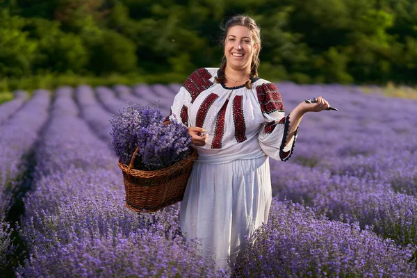 Jonge Vrouw Traditionele Roemeense Kostuum Oogsten Lavendel Uit Haar Tuin — Stockfoto