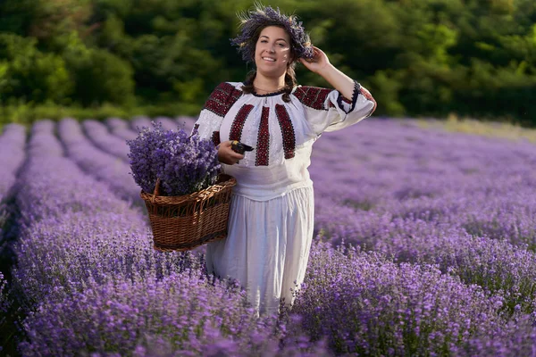 身着罗马尼亚传统服装的年轻女子从花园采摘薰衣草 — 图库照片